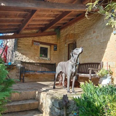 Centre Equestre Du Passe Temps Βίλα Dégagnac Εξωτερικό φωτογραφία